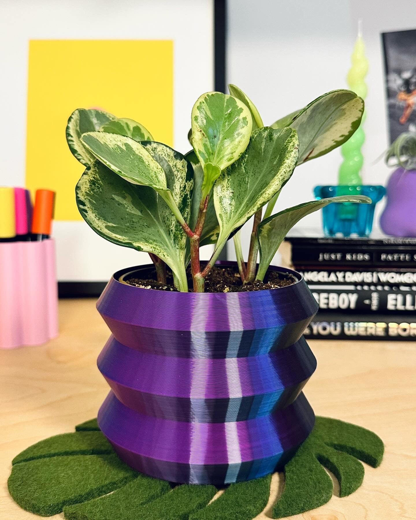 magic pot plant pot Zigzag 4" Plant Pot